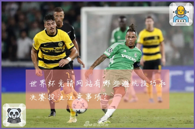 世界杯竞猜网站有哪些避坑技巧和决赛投注注意事项？
