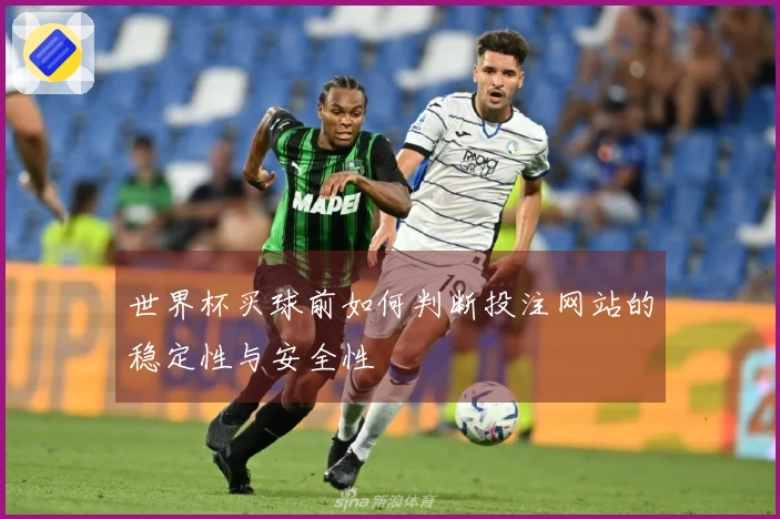 世界杯买球前如何判断投注网站的稳定性与安全性