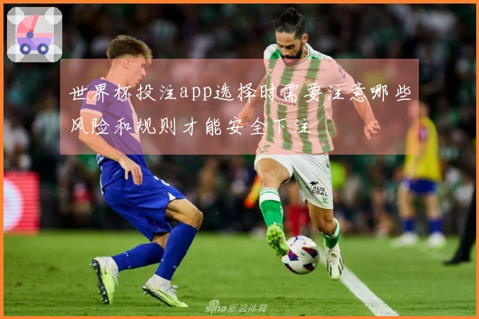 世界杯投注app选择时需要注意哪些风险和规则才能安全下注