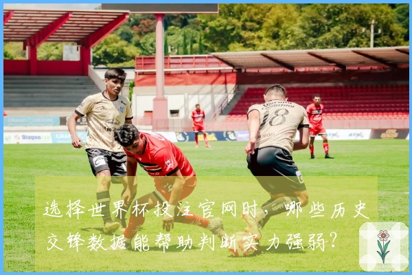 选择世界杯投注官网时，哪些历史交锋数据能帮助判断实力强弱？