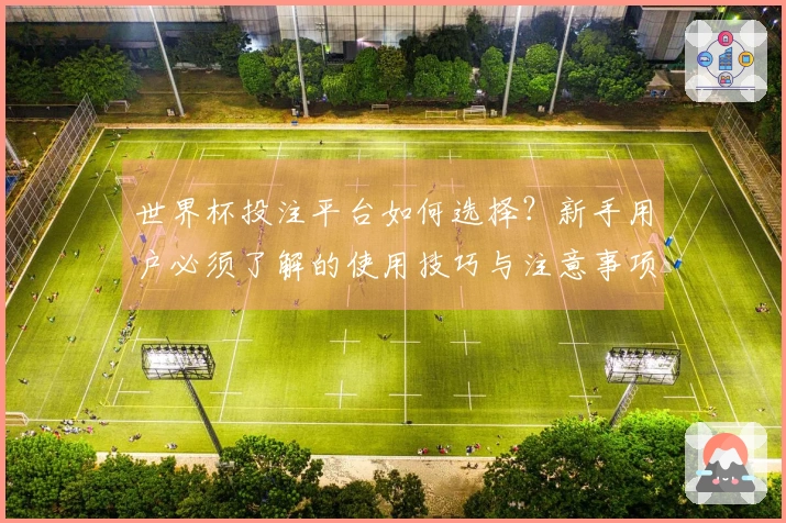 世界杯投注平台如何选择？新手用户必须了解的使用技巧与注意事项