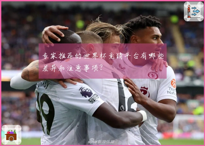 专家推荐的世界杯竞猜平台有哪些差异和注意事项？