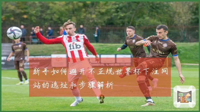 新手如何避开不正规世界杯下注网站的选址和步骤解析