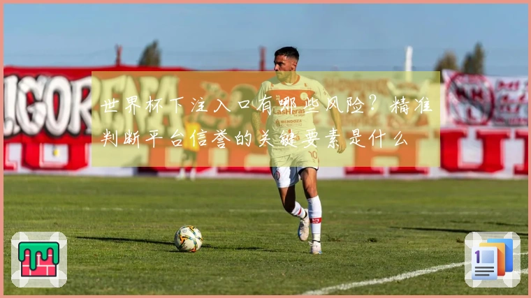 世界杯下注入口有哪些风险？精准判断平台信誉的关键要素是什么