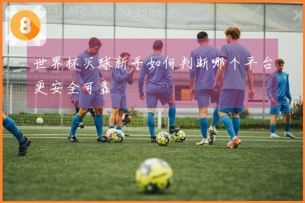 世界杯买球新手如何判断哪个平台更安全可靠