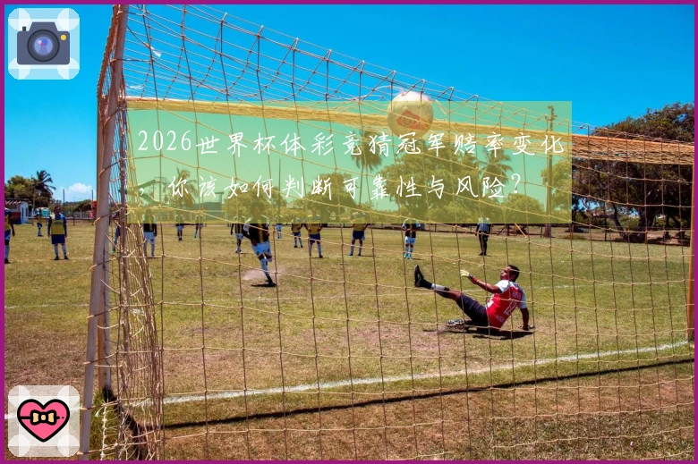 2026世界杯体彩竞猜冠军赔率变化，你该如何判断可靠性与风险？