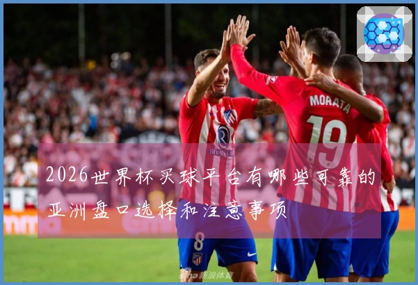 2026世界杯买球平台有哪些可靠的亚洲盘口选择和注意事项