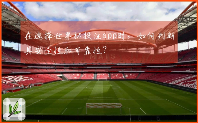 在选择世界杯投注app时,如何判断其安全性和可靠性?