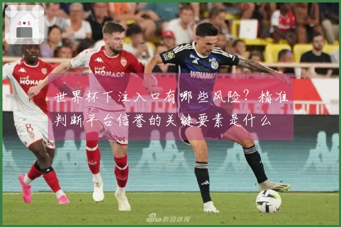 世界杯下注入口有哪些风险？精准判断平台信誉的关键要素是什么