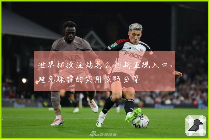 世界杯投注站怎么判断正规入口，避免踩雷的实用技巧分享