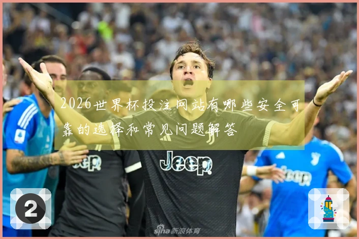 2026世界杯投注网站有哪些安全可靠的选择和常见问题解答