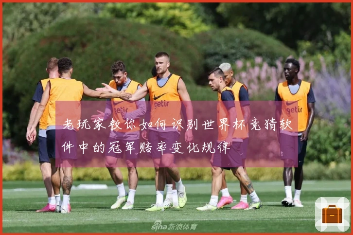 老玩家教你如何识别世界杯竞猜软件中的冠军赔率变化规律