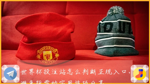 世界杯投注站怎么判断正规入口，避免踩雷的实用技巧分享