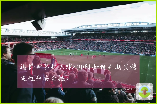 选择世界杯买球app时如何判断其稳定性和安全性？