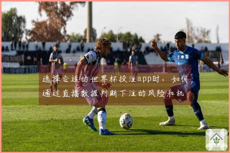 选择合适的世界杯投注app时，如何通过直播数据判断下注的风险和机会