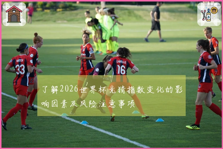 了解2026世界杯竞猜指数变化的影响因素及风险注意事项