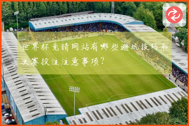 世界杯竞猜网站有哪些避坑技巧和决赛投注注意事项？