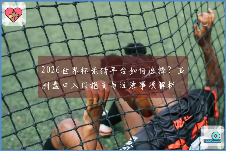 2026世界杯竞猜平台如何选择？亚洲盘口入门指南与注意事项解析