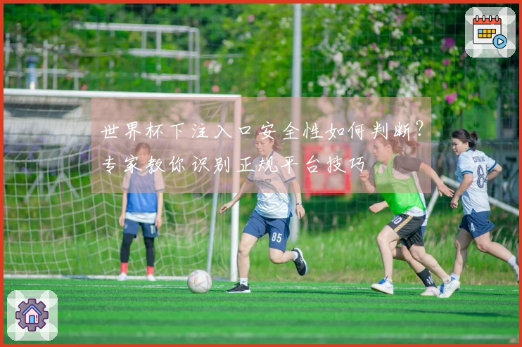 世界杯下注入口安全性如何判断？专家教你识别正规平台技巧