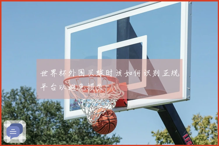 世界杯外围买球时该如何识别正规平台以避免损失-