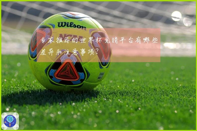 专家推荐的世界杯竞猜平台有哪些差异和注意事项？