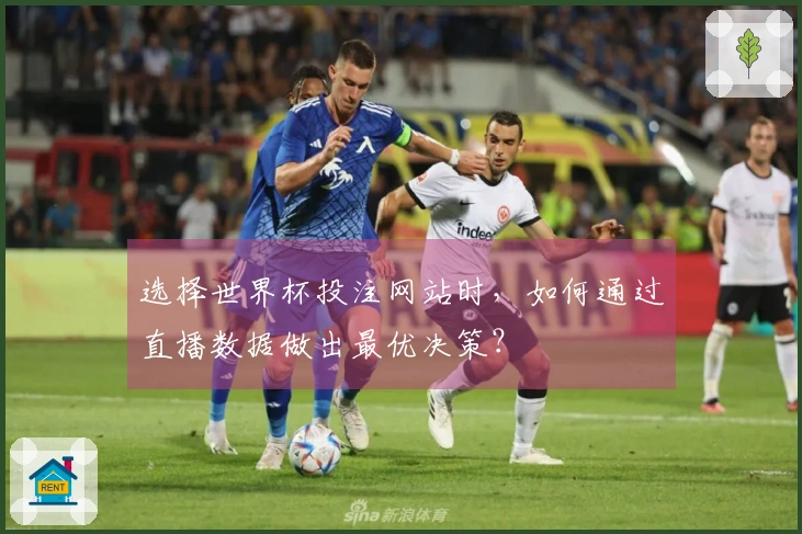 选择世界杯投注网站时，如何通过直播数据做出最优决策？
