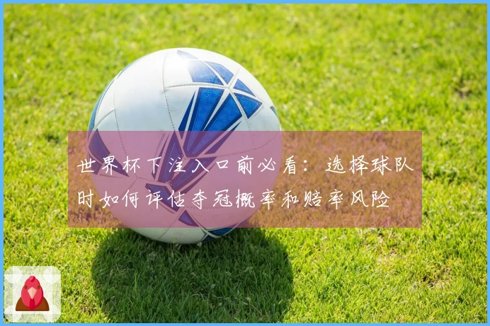 世界杯下注入口前必看：选择球队时如何评估夺冠概率和赔率风险